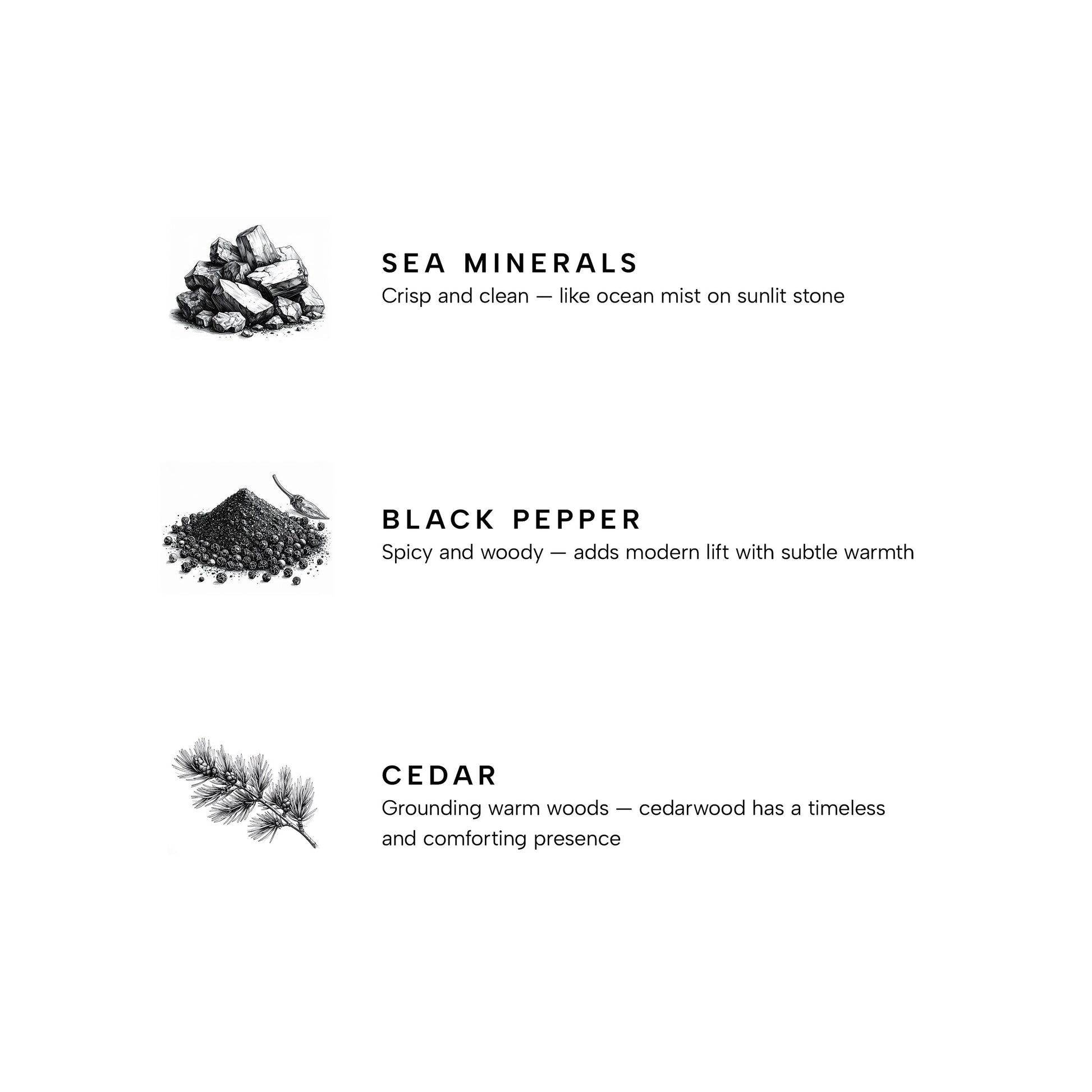 Marine Premium Reed Diffuser