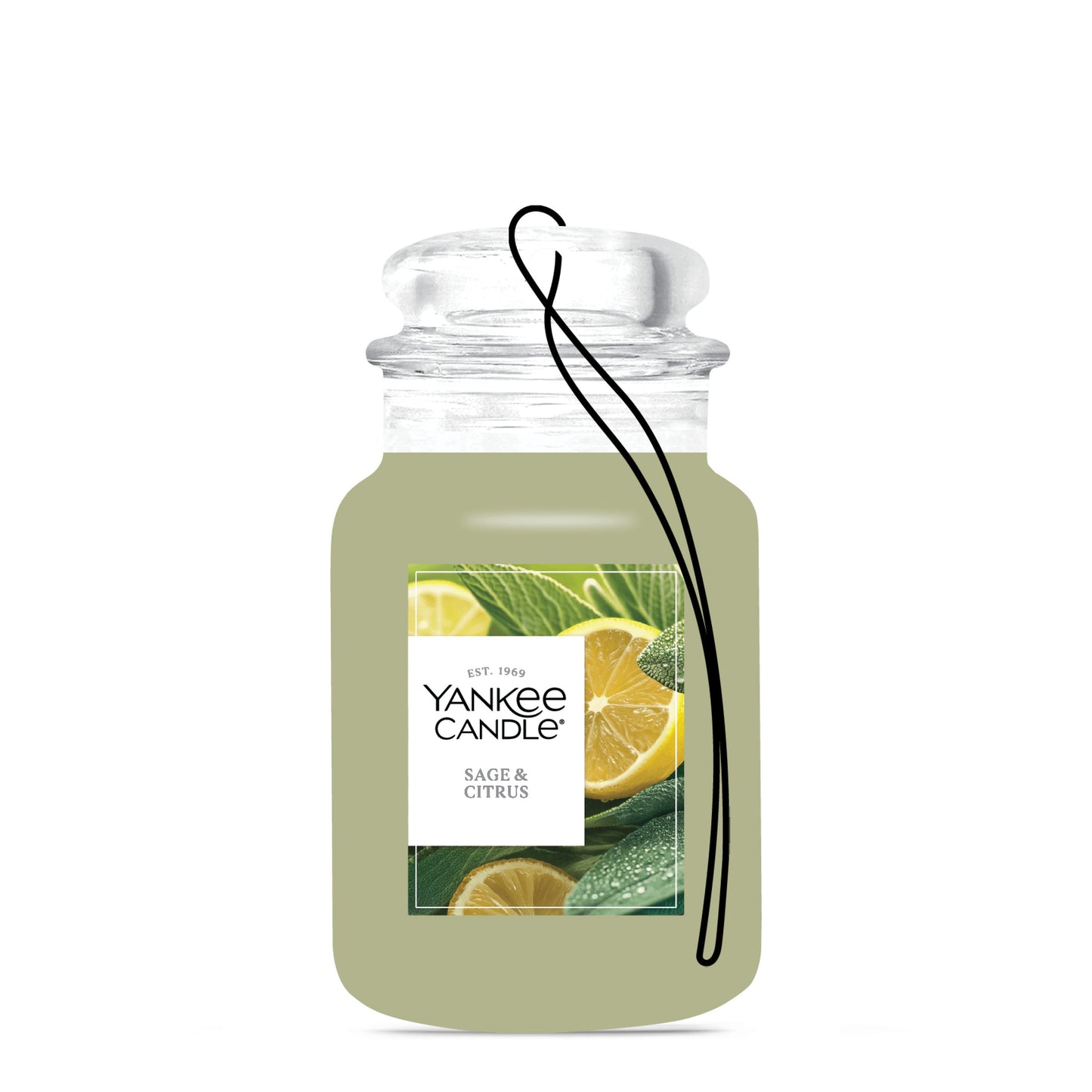 Sage & Citrus Series 1-0882