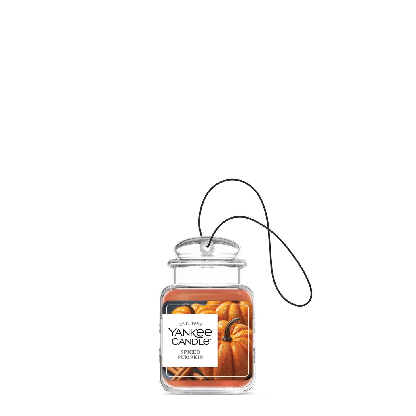 Spiced Pumpkin Series 1-0782