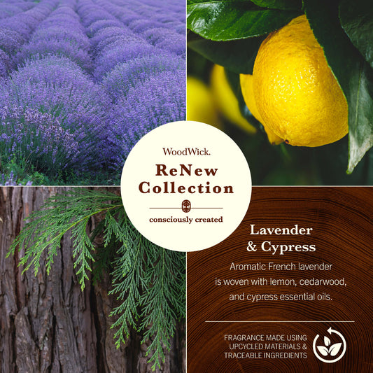 photo collage of woodwick renew collection lavender and cypress